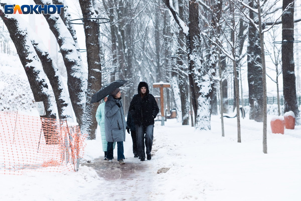 Фото: "Блокнот Краснодар"