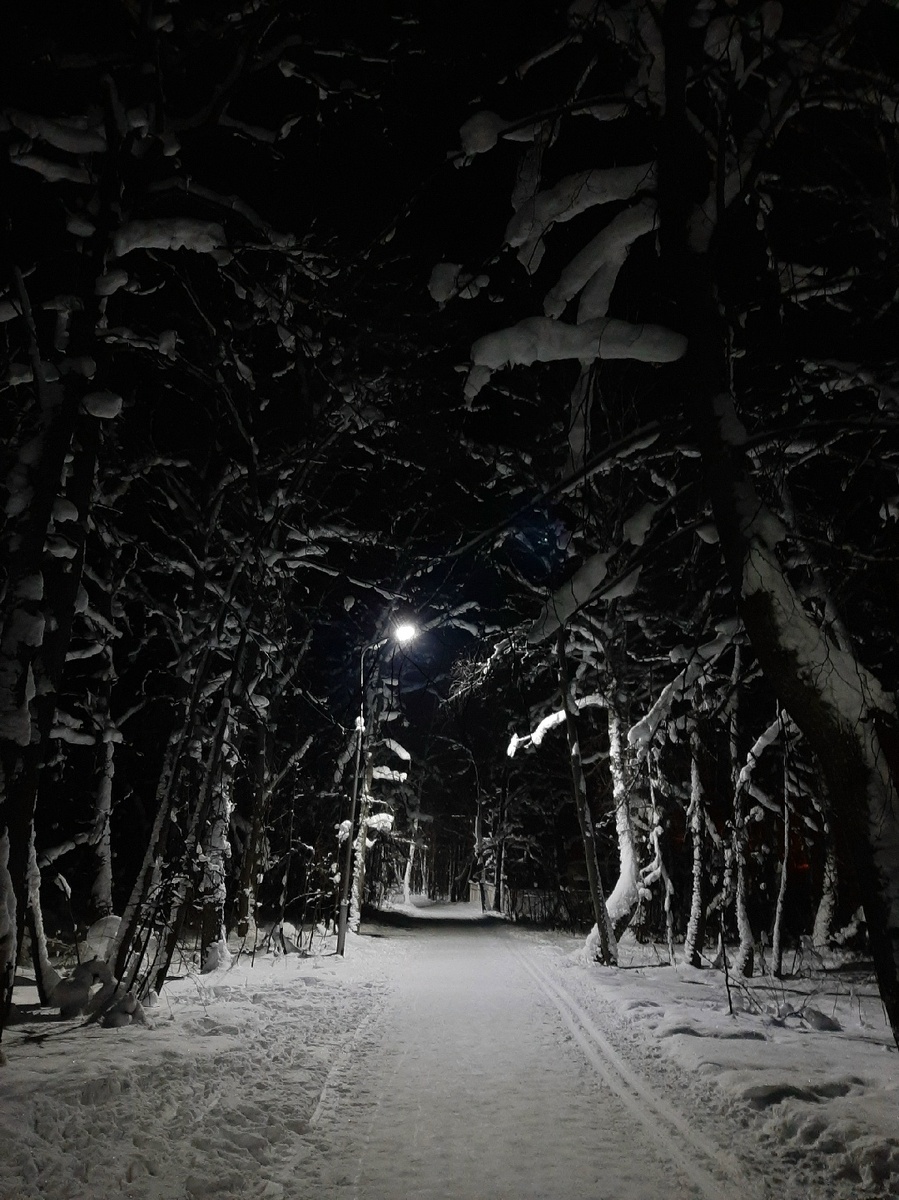 Тропа Здоровья зимней ночью