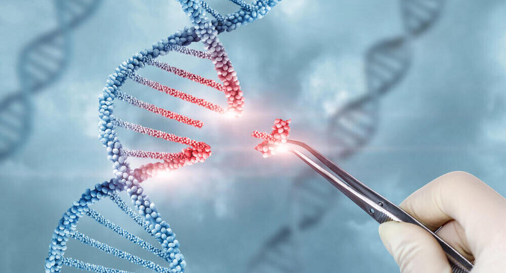 Что «ломается» в мозге? Израильское открытие: найден ключ к пониманию аутизма и не только