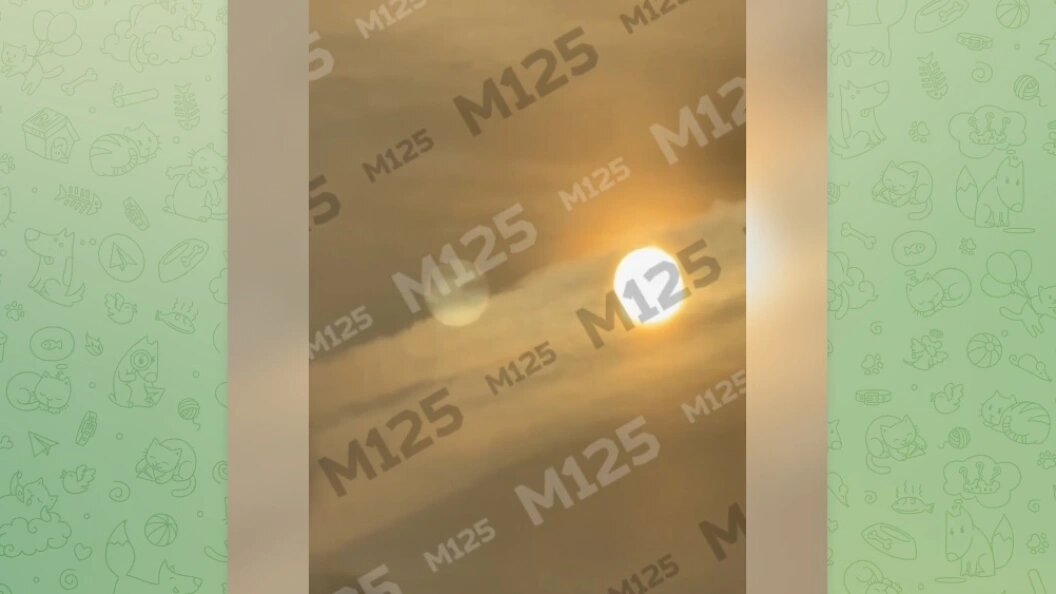    Телеграм-канал "Москва М125"