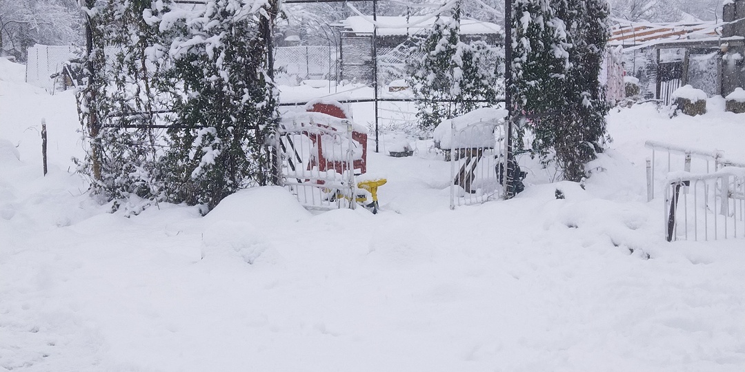 Наши дни по домашнему