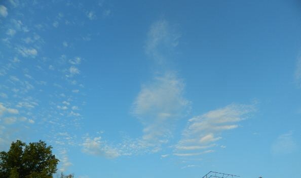 На фото: Сказочная птица над Н-ском)