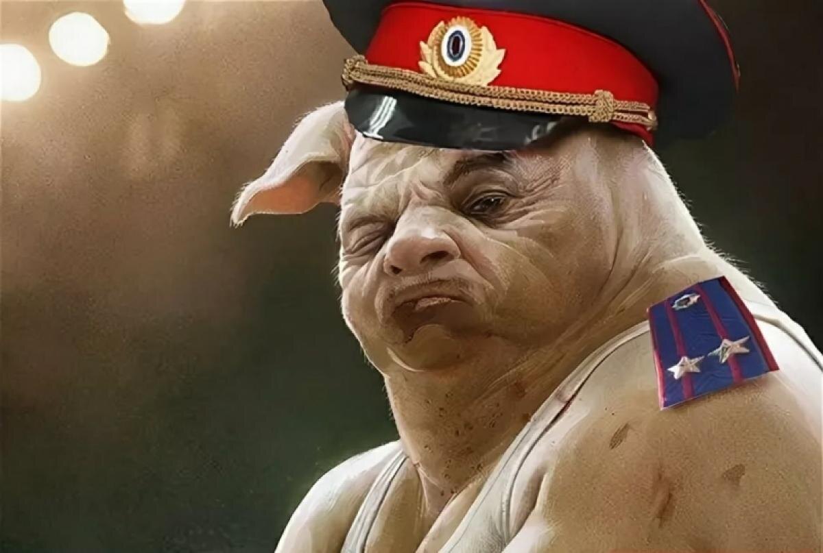 Из открытых источников