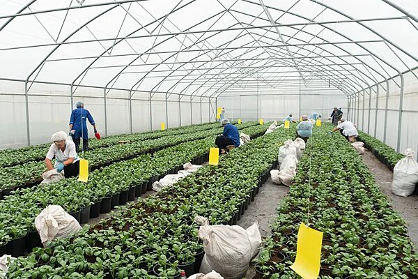    Фото: Личный финансы - Рамблер