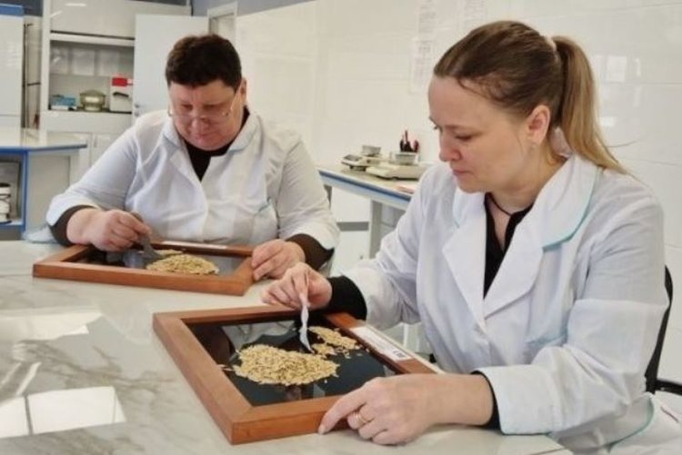    Фото: Филиал Россельхозцентра по Воронежской области