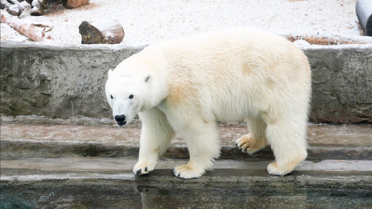    Источник: Пресс-служба Департамента культуры города Москвы