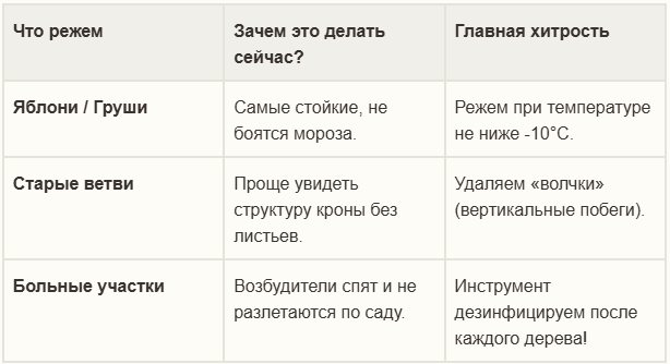 Что режем в январе