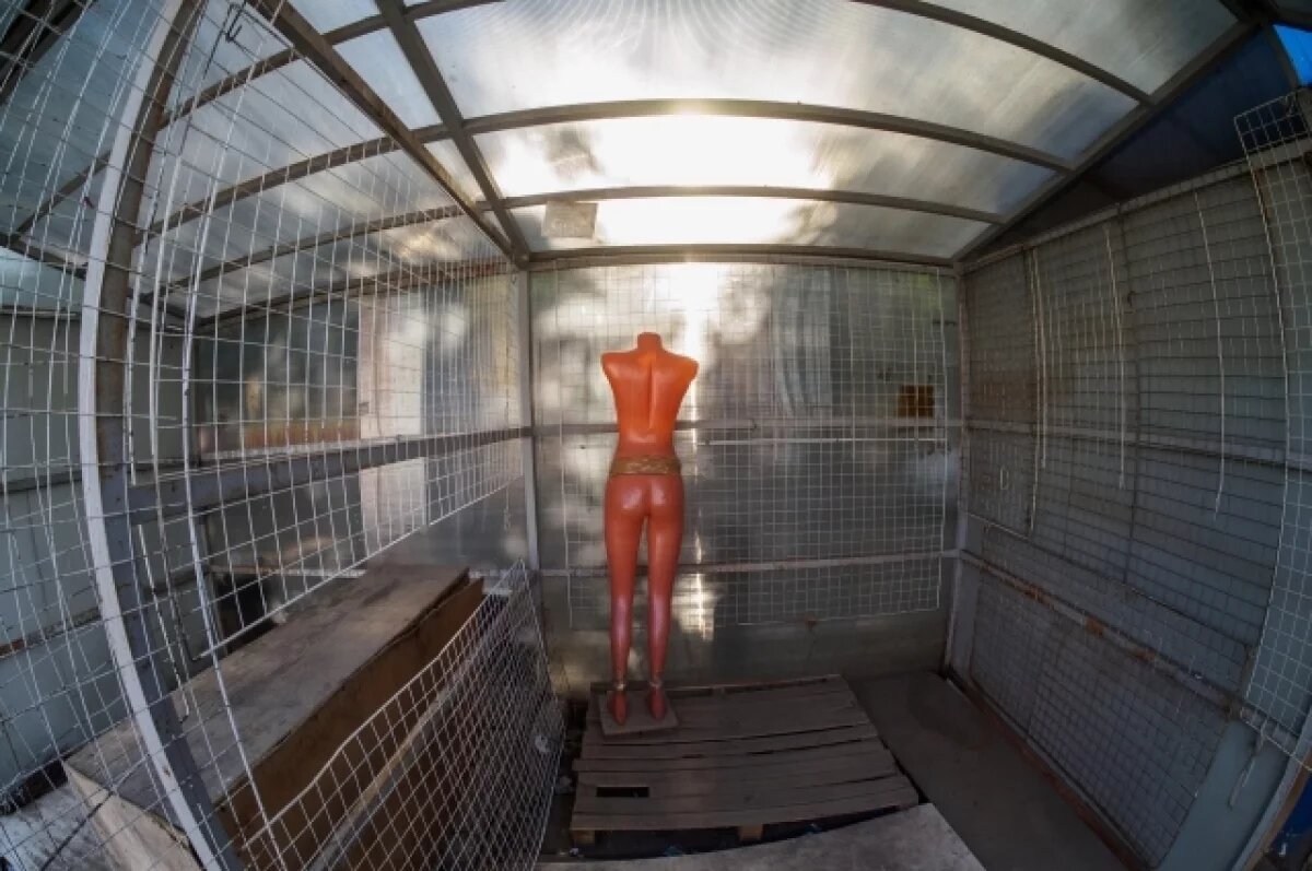    ЦУМ в Новосибирске закроется навсегда в конце января