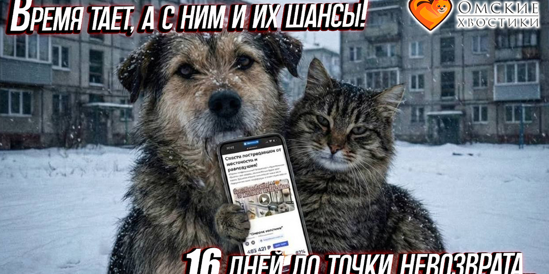 Время тает, а с ним и их шансы. 16 дней до точки невозврата...