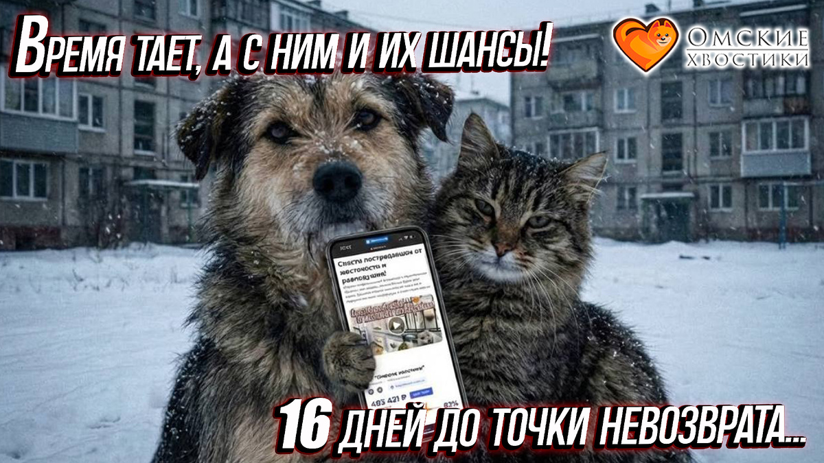 Нет возможности организовать карантин для вновь прибывших!