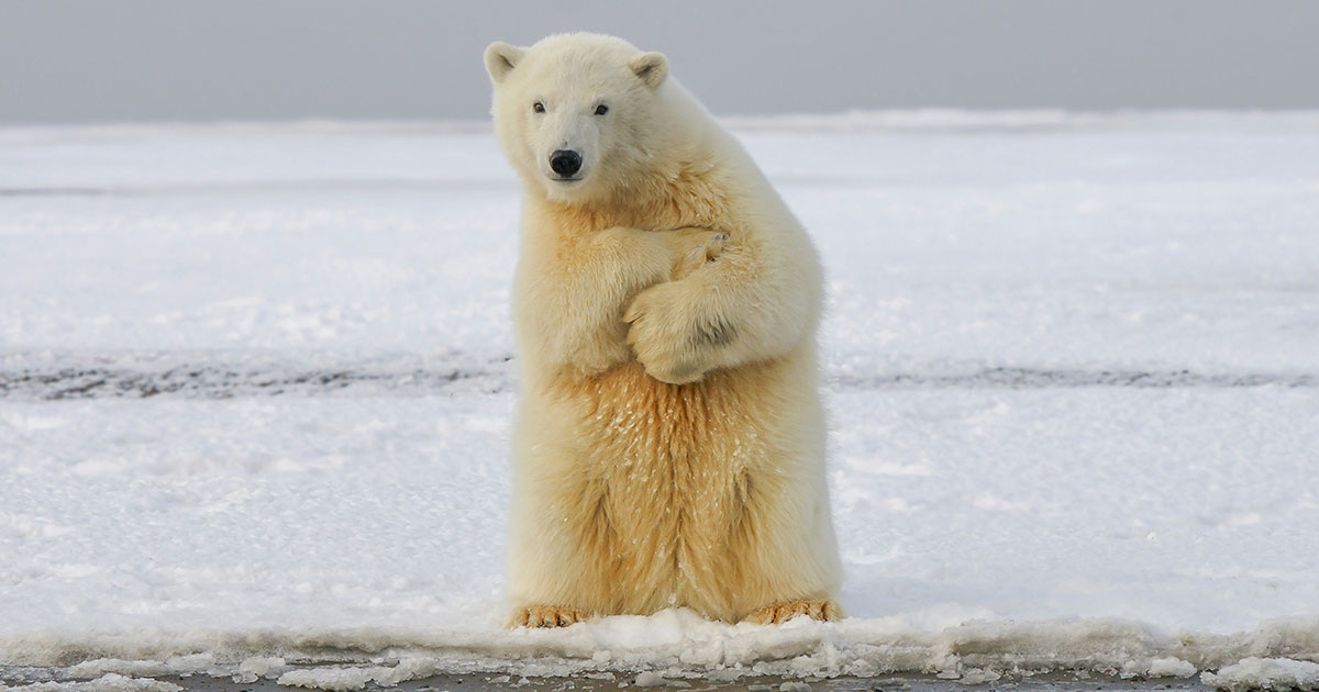 Hans-Jurgen Mager / Unsplash