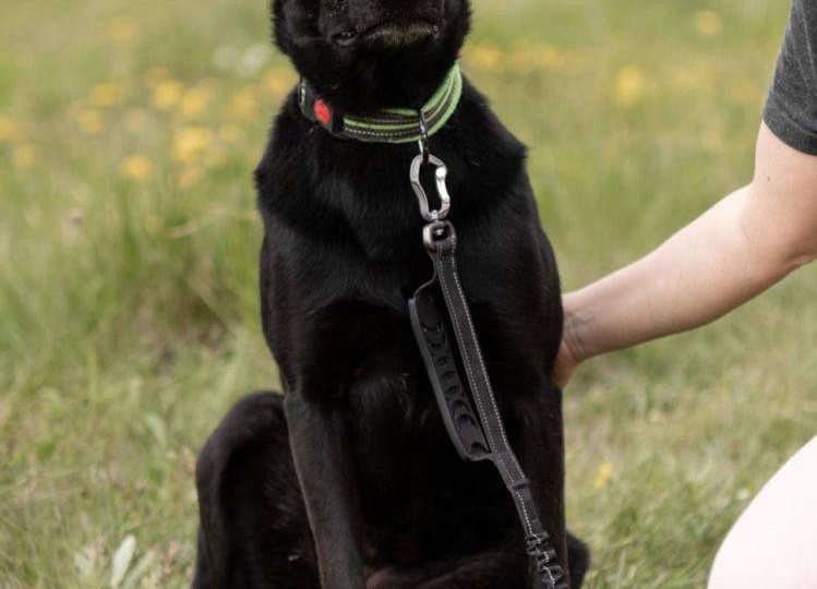 Раз в два дня Альме доставался кусок хлеба