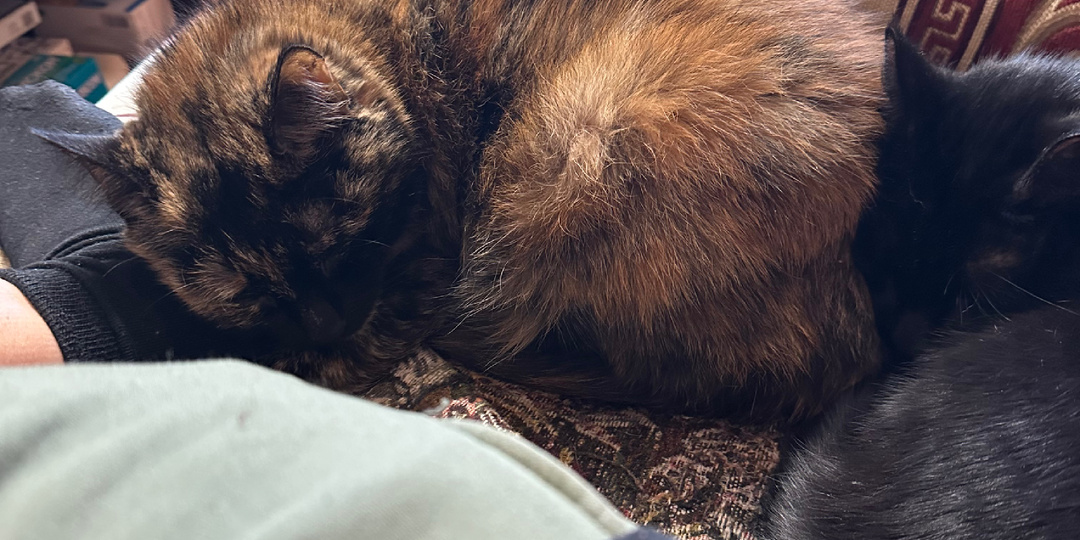 День 22 из 365. Поход к неврологу