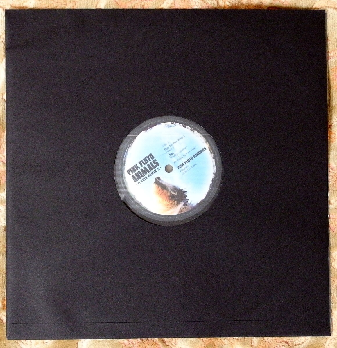 Тот самый антистатический конверт.