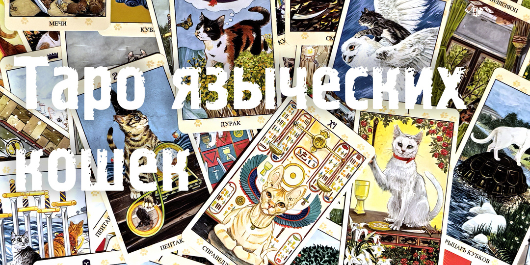 Обзор колоды: Tarot of Pagan Cats (Таро языческих кошек)
