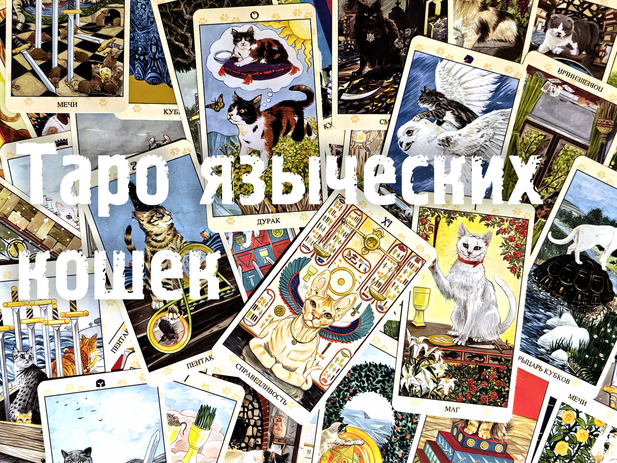 Чтобы изучить любую из картинок на этой странице в крупном виде, нажмите на неё правой кнопкой мышки и выберите в меню "Открыть в новой вкладке" (фото: моё)