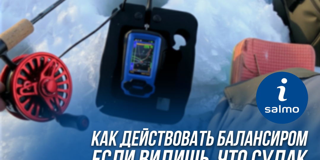 Судак на экране: как дожать поклёвку балансиром