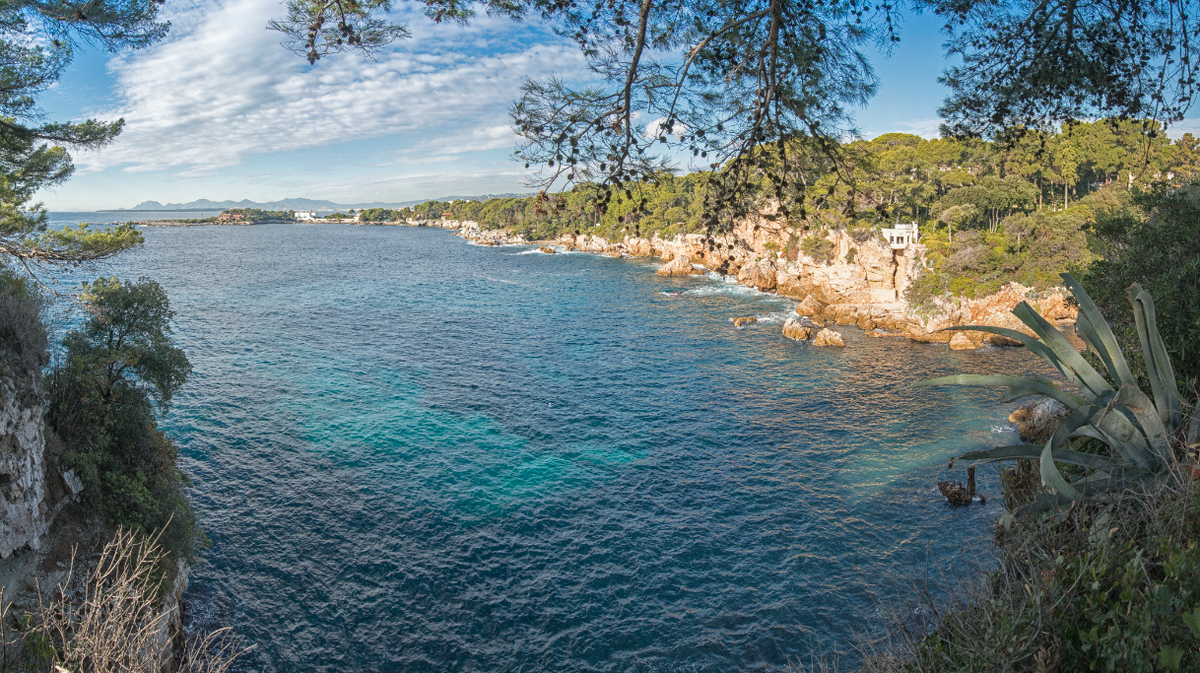    Источник: Доминик Бутен/ТАСС