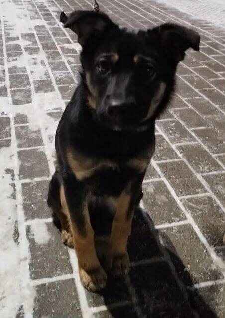 Реальная фотография "Дочи"