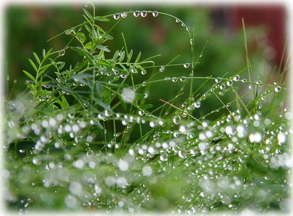 Фотография из открытого источника