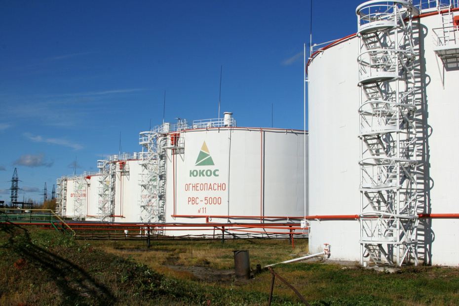    Nikolay Gyngazov/Global Look Press