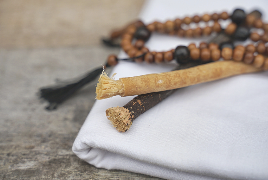 Палочки с пучками из корней сальвадоры персидской