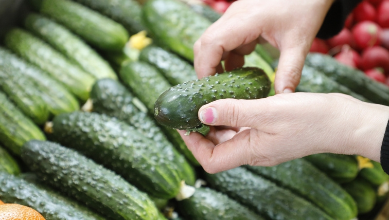      Фото: ИА «ПобедА26»