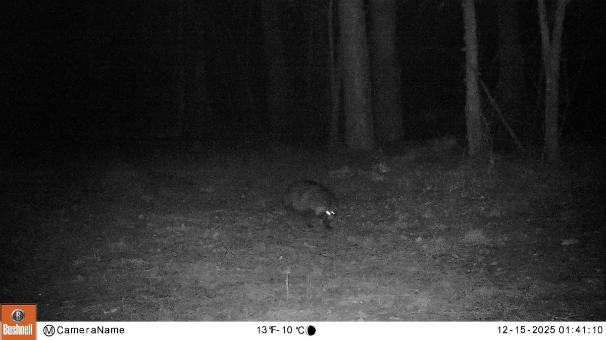     Фото: t.me/zapoved_story