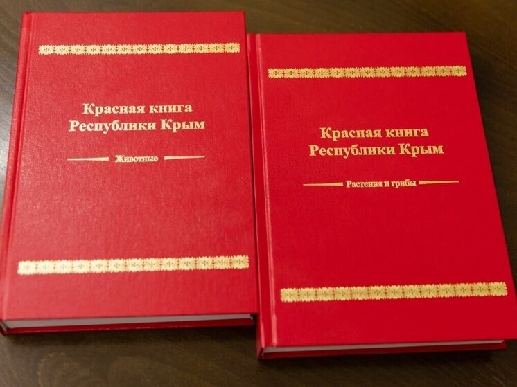     Фото: пресс-служба главы Крыма