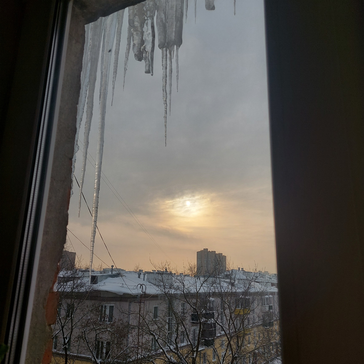 Фото автора.