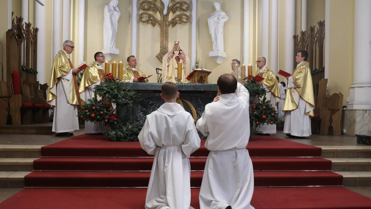 © photo: Sputnik / Илья Питалев