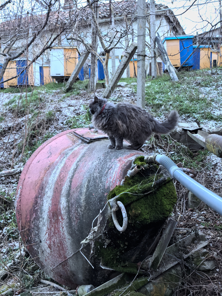 Элемент водоснабжения, морской буй