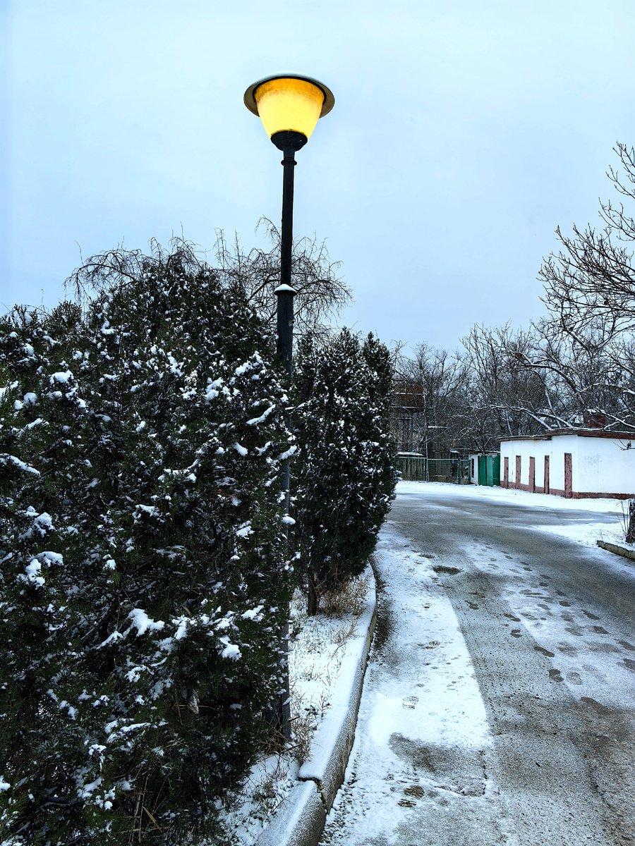 Сегодня. Фото автора канала