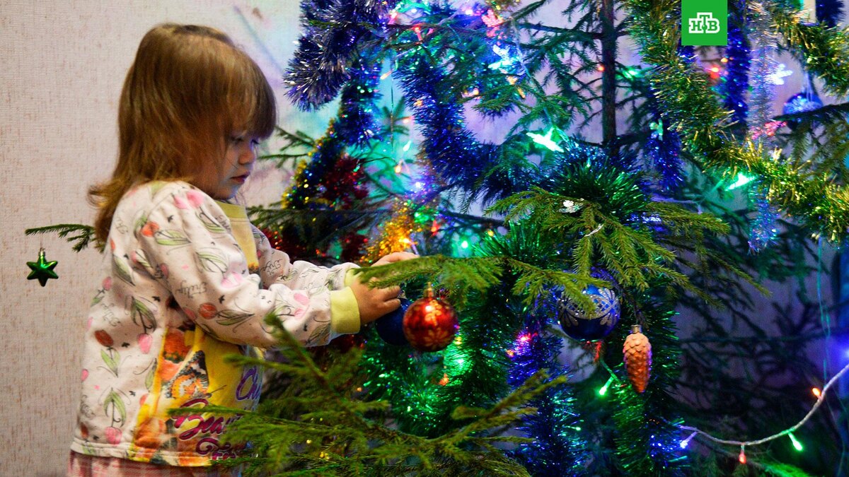    Фото: РИА Новости © 2026, Павел Лисицын