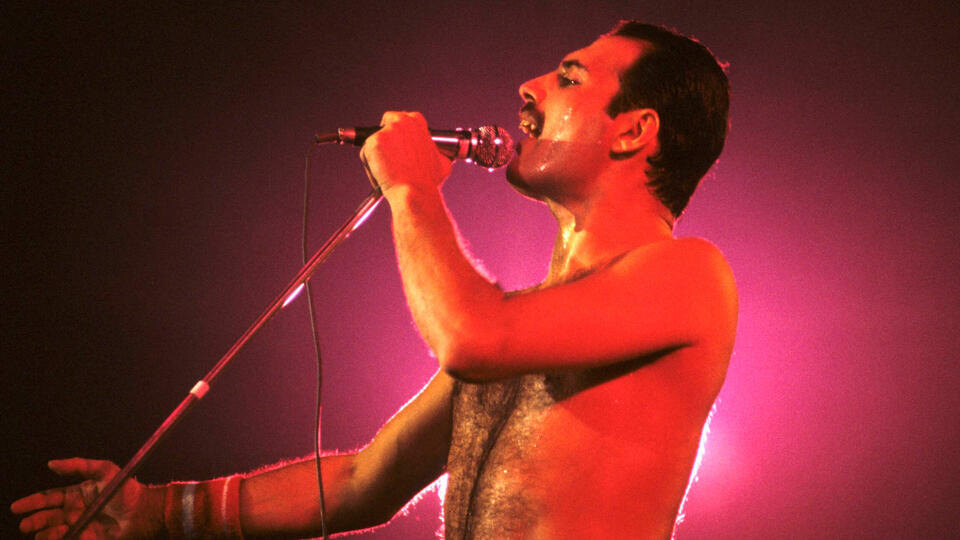     Daily Mail: умерла тайная дочь Фредди Меркьюри imago stock&people/Imago/TASS