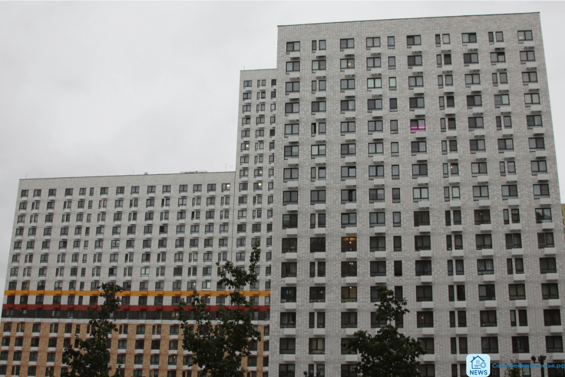 | фото © ISO M-P group