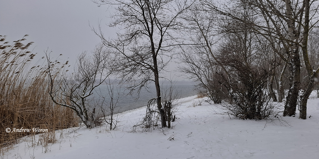 Зима в Кумженской роще. Ростова-на-Дону