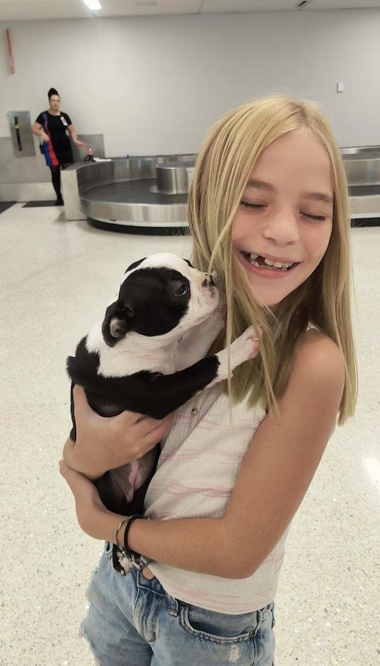 Кинли и бостон терьер Теннесси первый раз встретились / архивное фото