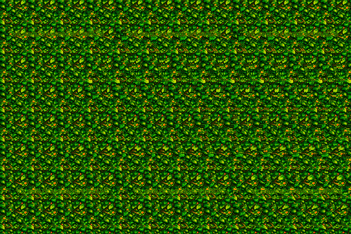 Что вы видите? Делитесь в комментариях!