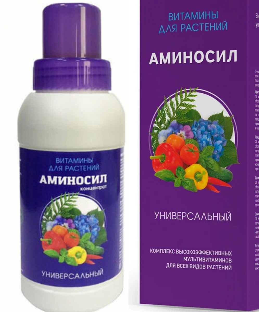 Фото из интернета. Коллаж автора