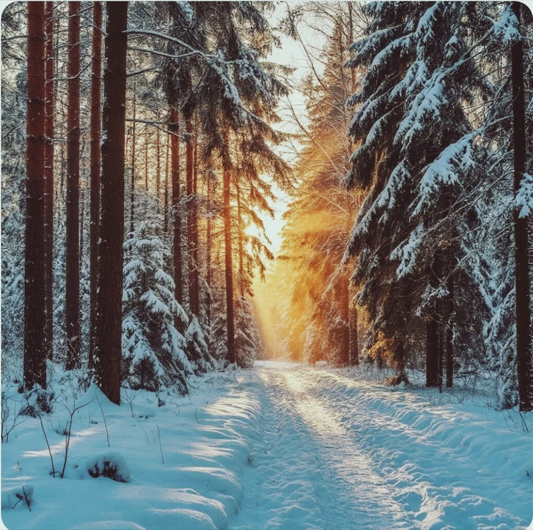 Подписывайтесь на канал и ставьте❤️ Спасибо, что читаете😉