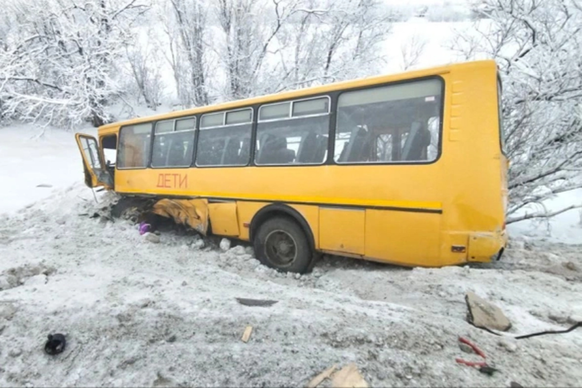    Фото: УМВД России по Архангельской области
