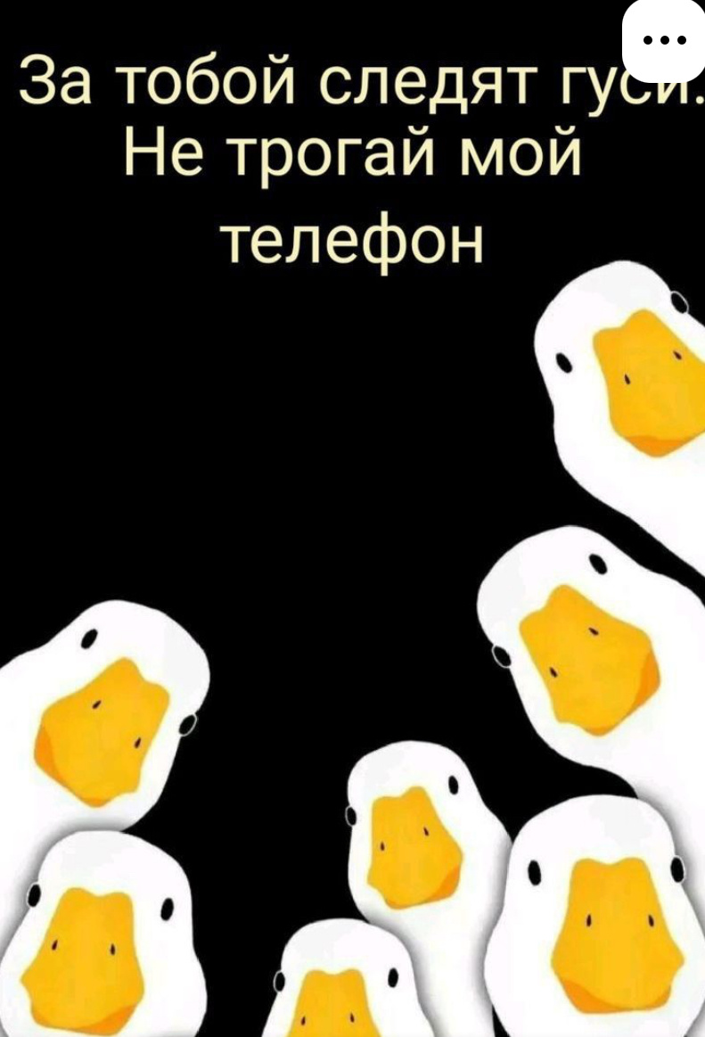 Гуси 