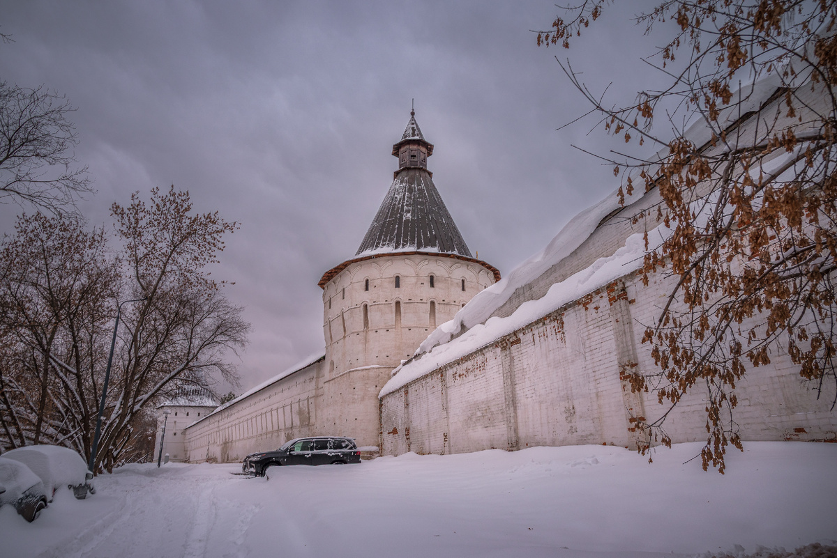 У стен Новоспасского монастыря