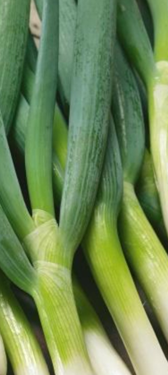 Сочный батун