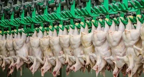    AgroReview Редакция