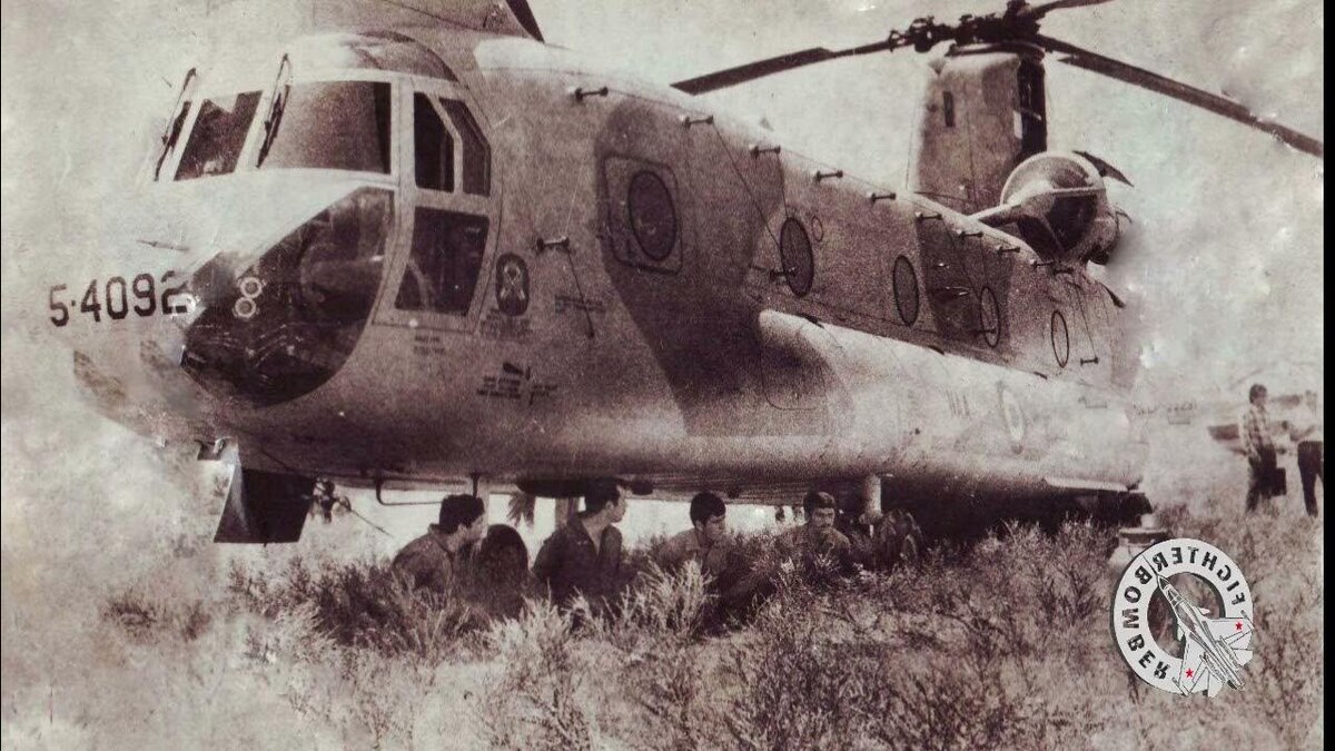 Автор: https://i.ytimg.com/vi/IgtflC9ofus/maxresdefault.jpg?sqp=-oaymwEmCIAKENAF8quKqQMa8AEB-AH-CYAC0AWKAgwIABABGGUgSShMMA8=&rs=AOn4CLBxN98gabt5CcOJ9rH4zb_XrU9wgQ