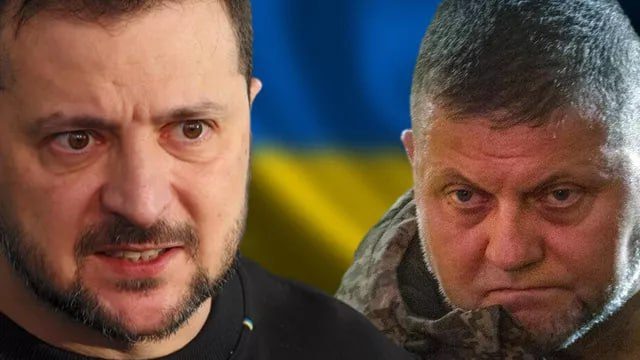    AFP 2023 Редакция