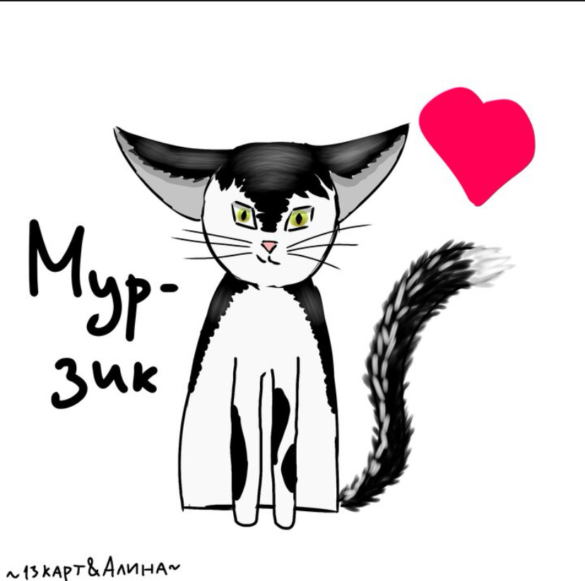 ~13 карт&Алина~