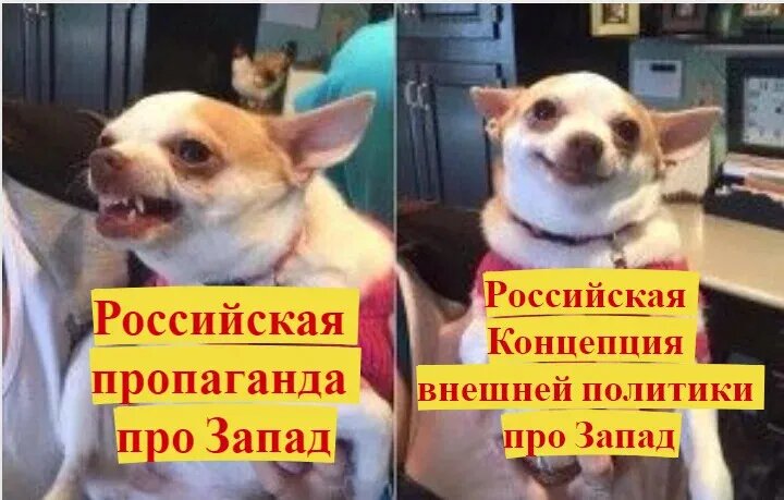 Картинка из Яндекс картинок.